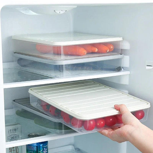 Freezer Dumpling Storage Box - Maarufu